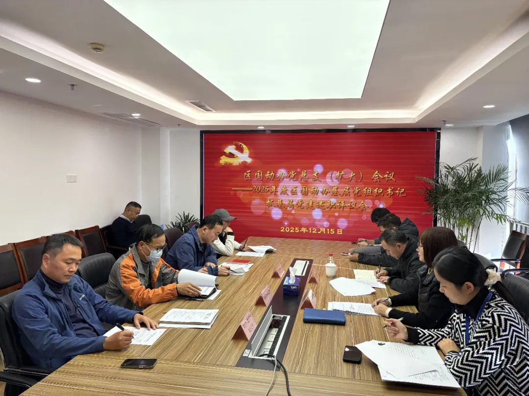 区国动办机关党总支召开2025年度基层党组织书记抓基层党建述职评议会