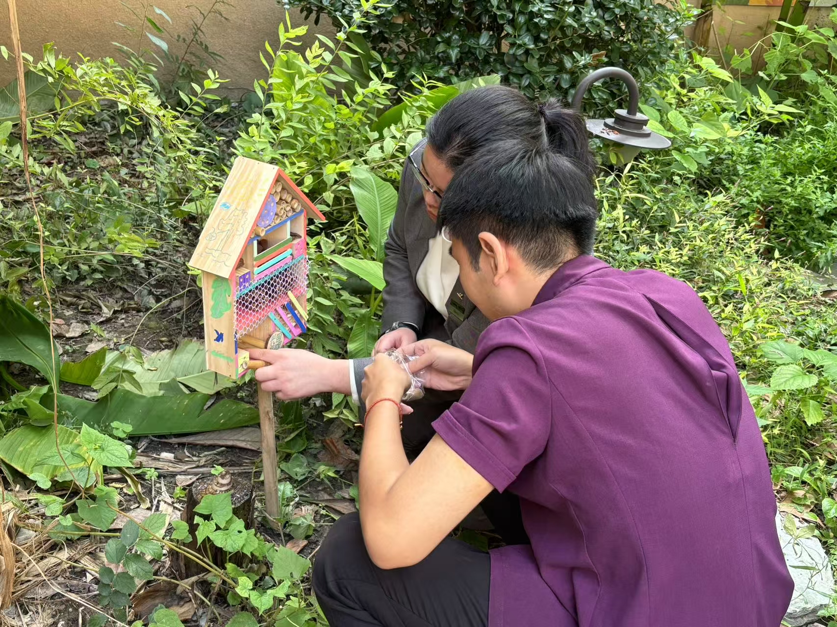 夏季的生境花园