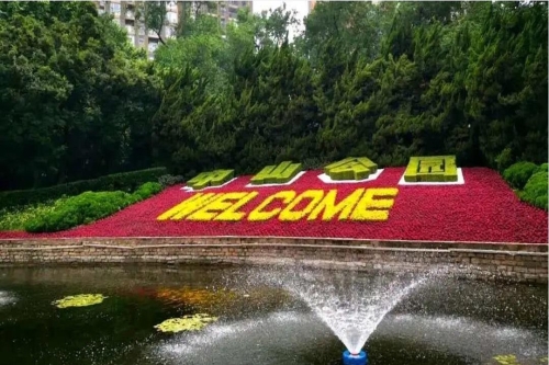 喜报！中山公园被评为“上海市五星级公园”！