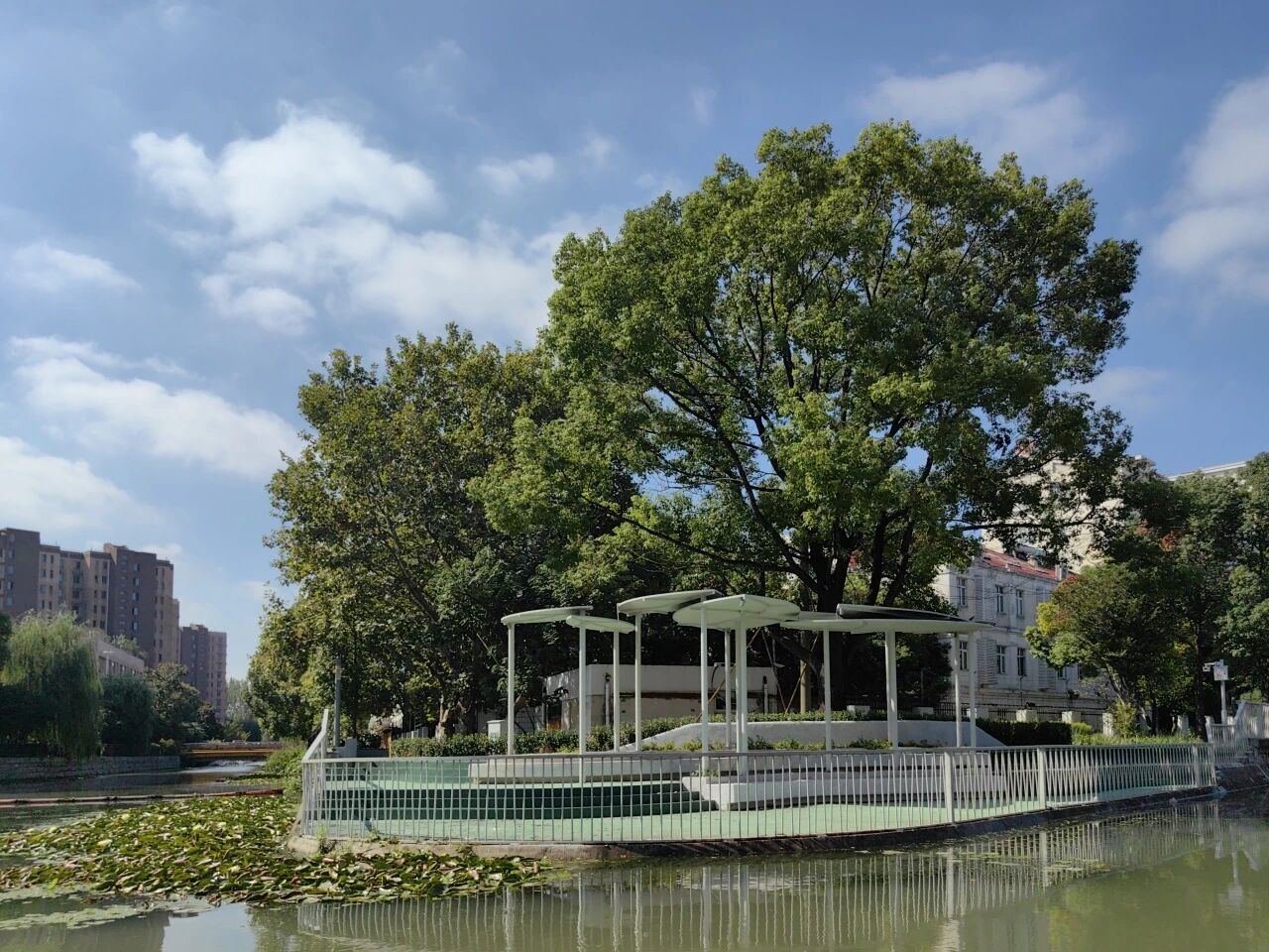 美丽中国，我是行动者 | 水上特别节目！沿着新泾港、周家浜、外环西河，泛舟游长宁~