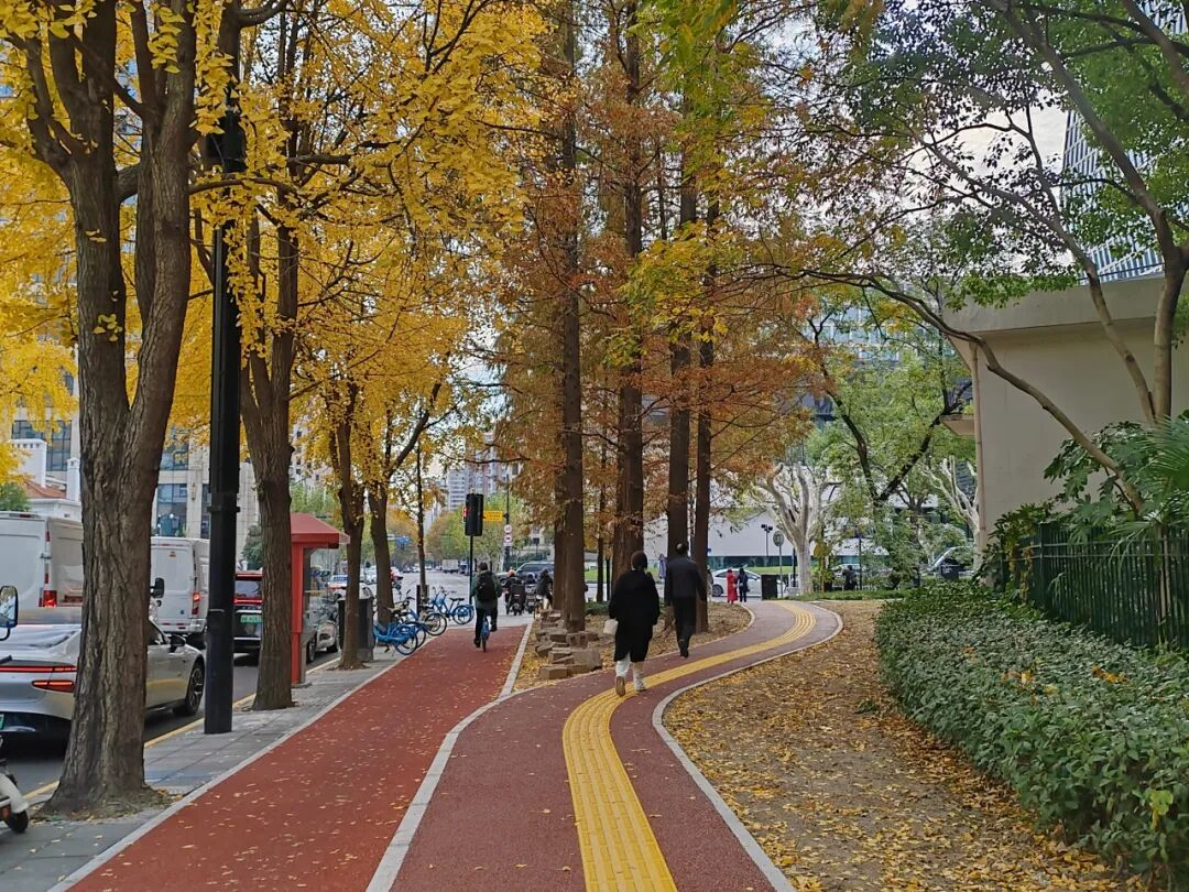 党建引领“多格合一”｜借绿道作步道，伊犁路“告别”人车混行！