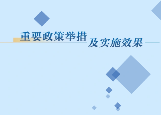 重要政策举措及实施效果