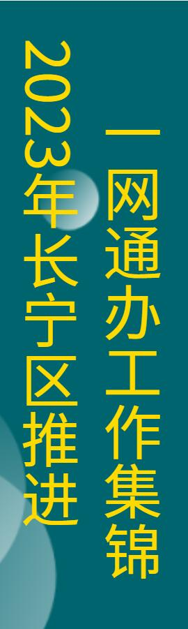 2023年长宁区推进一网通办工作集锦